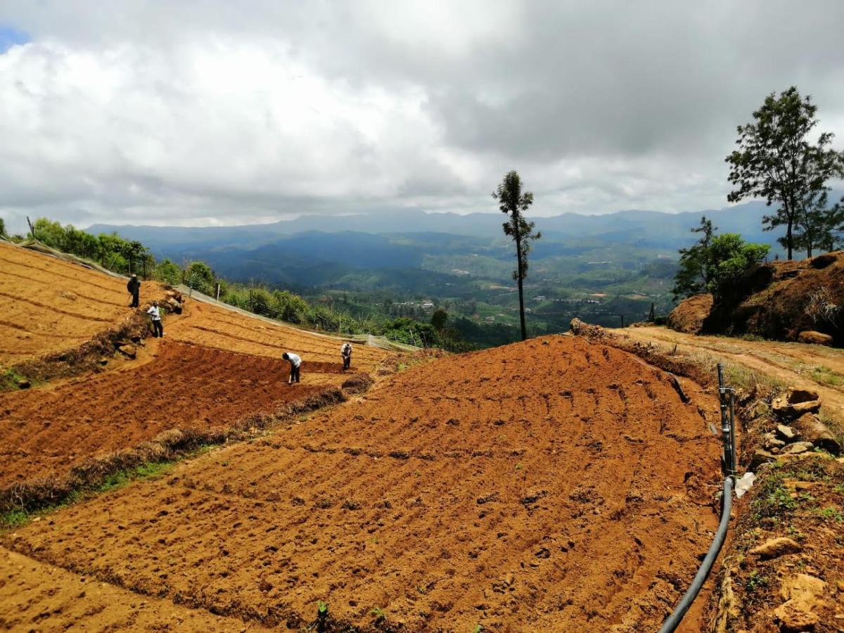 Отель Unique View Nuwaraeliya Нувара-Элия Экстерьер фото