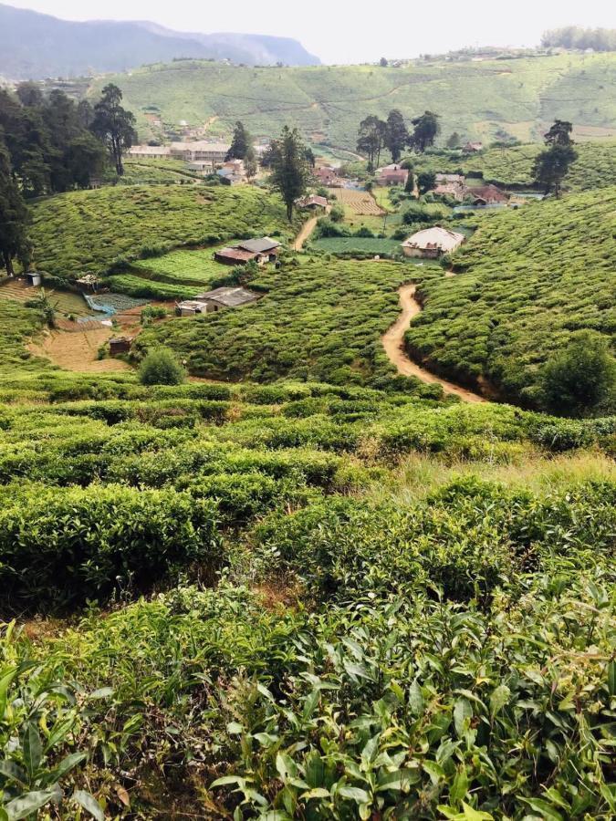 Отель Unique View Nuwaraeliya Нувара-Элия Экстерьер фото